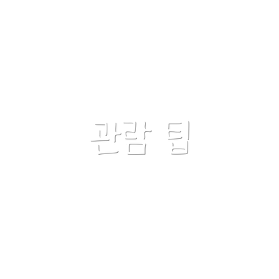 관람 팁