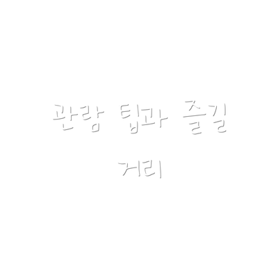 관람 팁과 즐길 거리