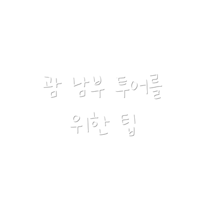 괌 남부 투어를 위한 팁