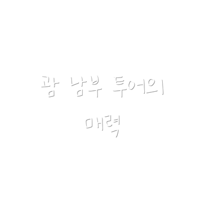 괌 남부 투어의 매력