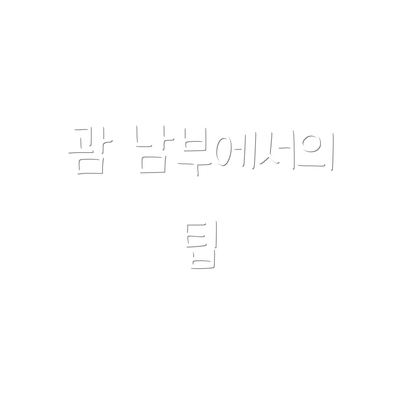 괌 남부에서의 팁