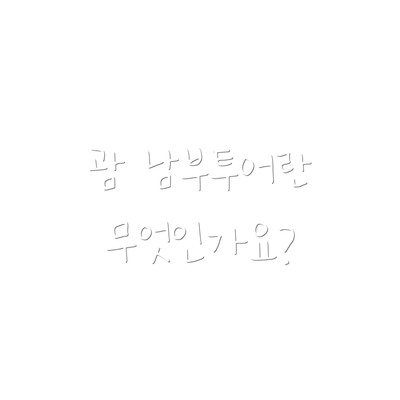 괌 남부투어란 무엇인가요?