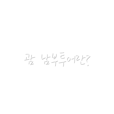 괌 남부투어란?