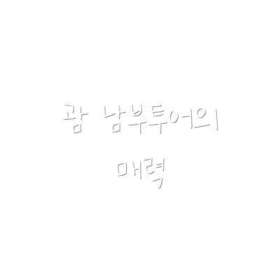 괌 남부투어의 매력