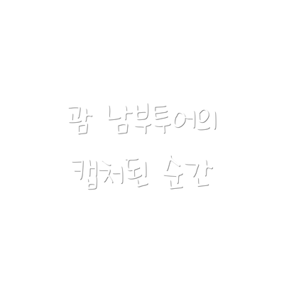 괌 남부투어의 캡처된 순간