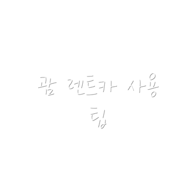 괌 렌트카 사용 팁