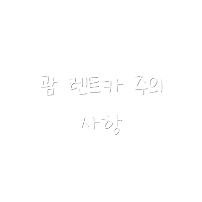 괌 렌트카 주의 사항
