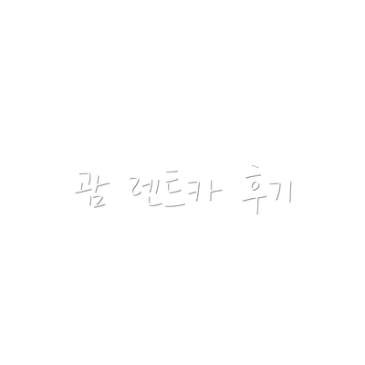 괌 렌트카 후기