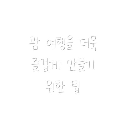 괌 여행을 더욱 즐겁게 만들기 위한 팁