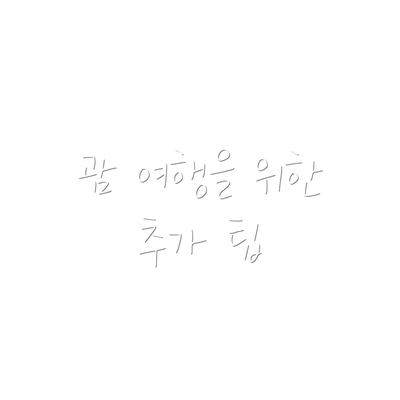 괌 여행을 위한 추가 팁