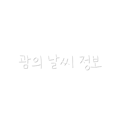 괌의 날씨 정보