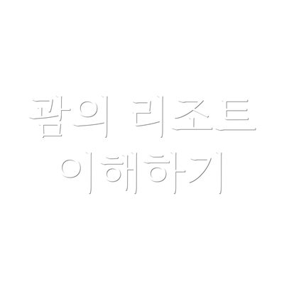 괌의 리조트 이해하기