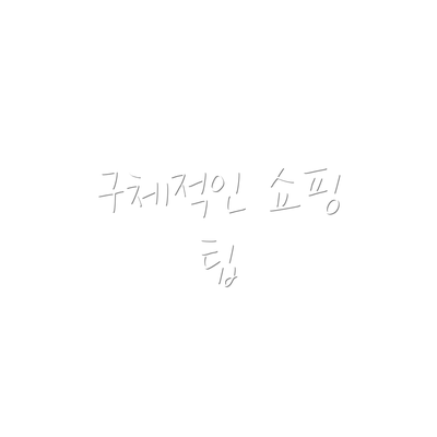 구체적인 쇼핑 팁