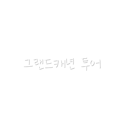 그랜드캐년 투어