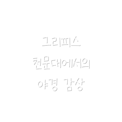 그리피스 천문대에서의 야경 감상