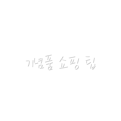 기념품 쇼핑 팁