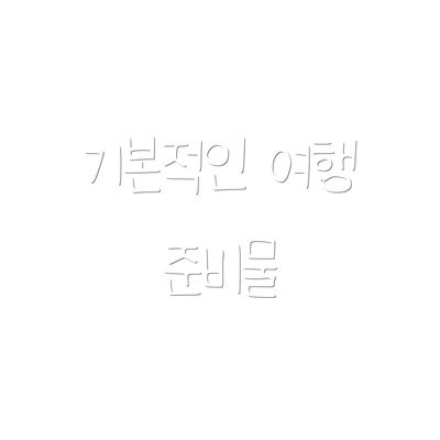 기본적인 여행 준비물
