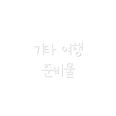 기타 여행 준비물