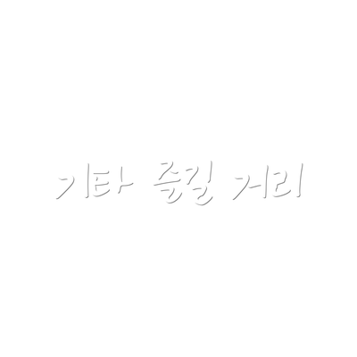 기타 즐길 거리