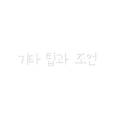 기타 팁과 조언