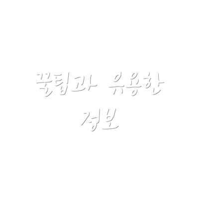 꿀팁과 유용한 정보
