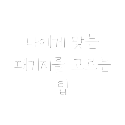 나에게 맞는 패키지를 고르는 팁