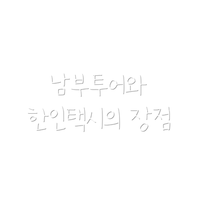 남부투어와 한인택시의 장점
