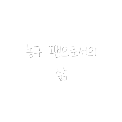 농구 팬으로서의 삶