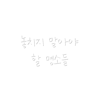 놓치지 말아야 할 명소들