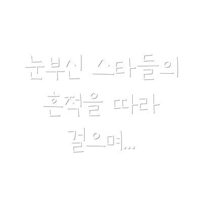 눈부신 스타들의 흔적을 따라 걸으며...