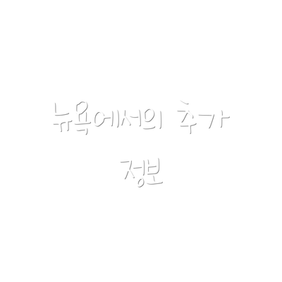 뉴욕에서의 추가 정보