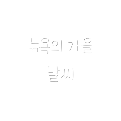 뉴욕의 가을 날씨