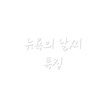 뉴욕의 날씨 특징