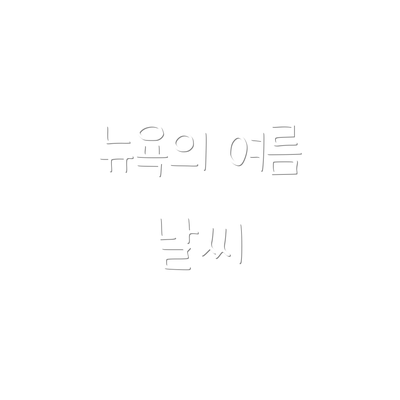 뉴욕의 여름 날씨