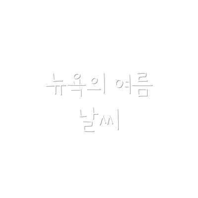뉴욕의 여름 날씨