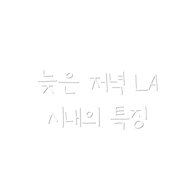 늦은 저녁 LA 시내의 특징