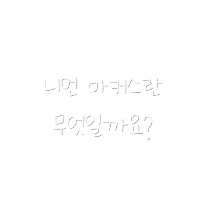 니먼 마커스란 무엇일까요?