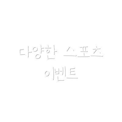 다양한 스포츠 이벤트
