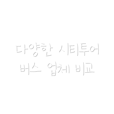 다양한 시티투어 버스 업체 비교
