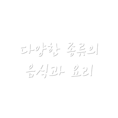 다양한 종류의 음식과 요리