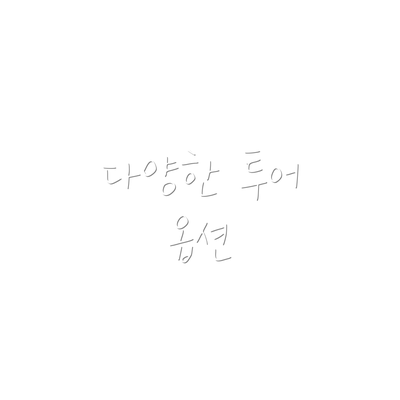 다양한 투어 옵션