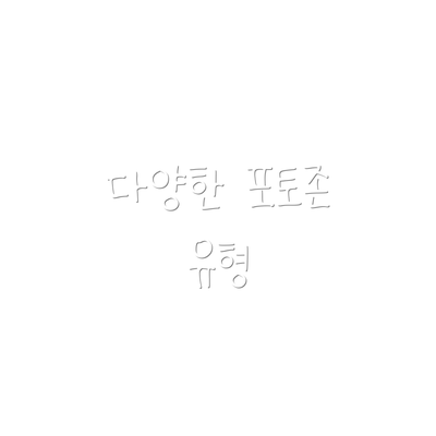 다양한 포토존 유형
