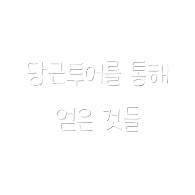 당근투어를 통해 얻은 것들