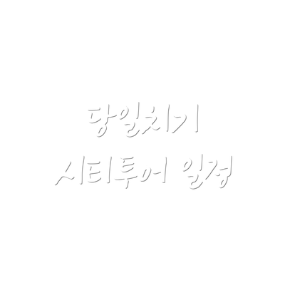 당일치기 시티투어 일정