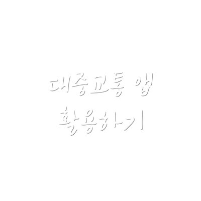 대중교통 앱 활용하기