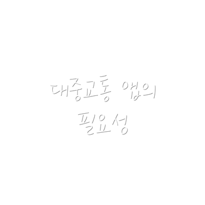 대중교통 앱의 필요성