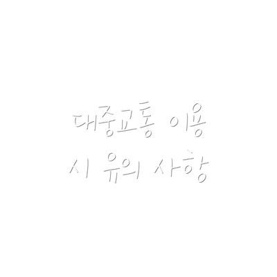 대중교통 이용 시 유의 사항