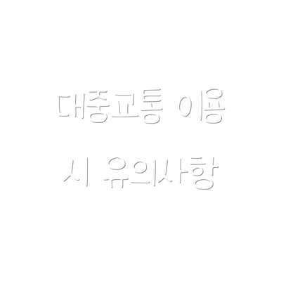 대중교통 이용 시 유의사항