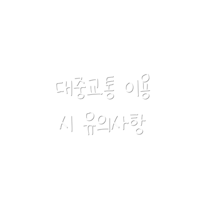 대중교통 이용 시 유의사항