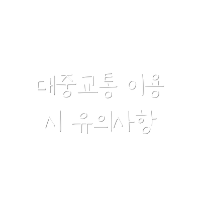 대중교통 이용 시 유의사항